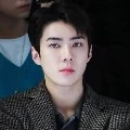 sehun(tangan kanan+abang angkat)