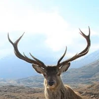 ยูสุ