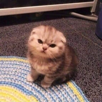 แอดเอง🥺