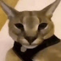 Meh