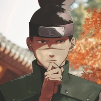 IRUKA ( SENSEI )