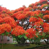 pohon permintaan