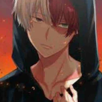 Todoroki