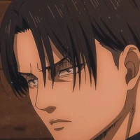 Levi (Kakak Mikasa)