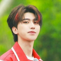รีบอร์น