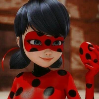 Ladybug