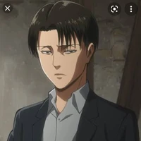 Levi