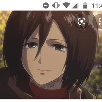 Mikasa