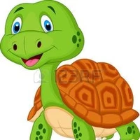 tortue