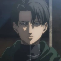 Levi