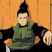 Shikamaru (Alfa dominante)