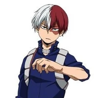 Shoto Todoroki