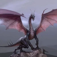 William dragon(Dark)