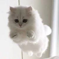 เมฆ☁️
