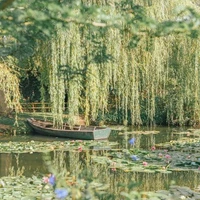 Fan fan (System fairy)