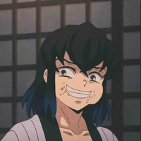 Hashibora