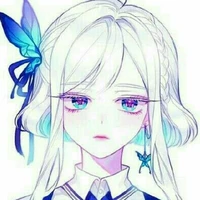 [•Y/N Wong•]
