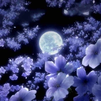 Lumine Flower