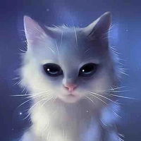 Kitten