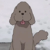 Makkachin