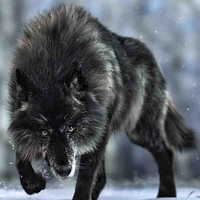 EZEQUIEL [forma lobo]