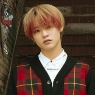 Lee Chenle