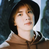 kim seokjin (ibu tae)