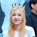 Park rose