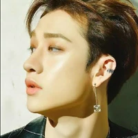 Bang Chan/ Ml