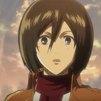 mikasa