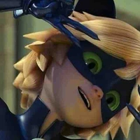 Cat noir
