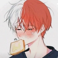 Shoto Todoroki