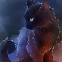 kitty