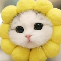แอดเอง