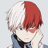 Shoto Todoroki