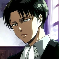 Levi