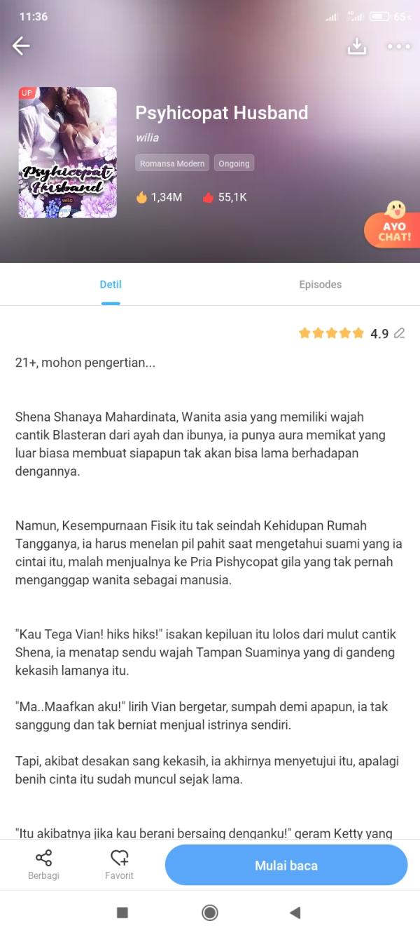 NovelToon