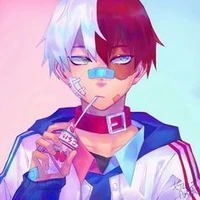 Shoto Todoroki