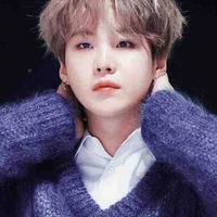 Yoongi ( Suga ) 