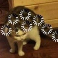 เเอดคนเดิมเพิ่มเติมคือเหี้ย