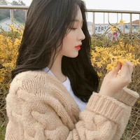 kim y/n