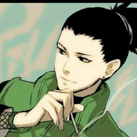 shikamaru (alfa d/17