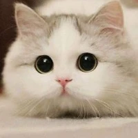สิตะ(​ศิวะร่างแมว)​