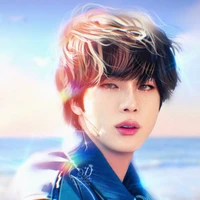 Kim Seokjin|Jin (MC Bff)
