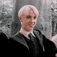 Draco🐍💚