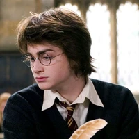 Harry⚡️💛
