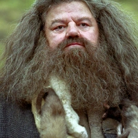 hagrid