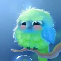 My parrot🦜