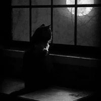 unknown
