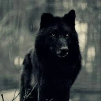 Lobo de Nam